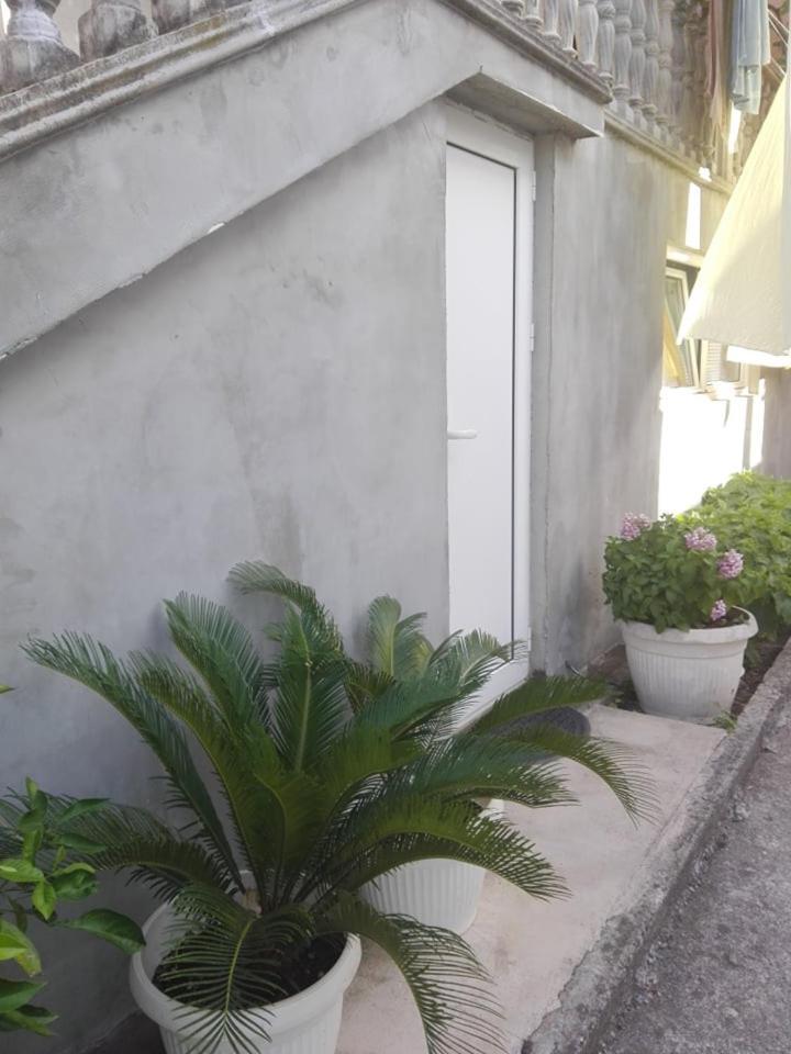 Marko Apartment Sutomore Bagian luar foto